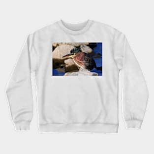 Green heron Crewneck Sweatshirt